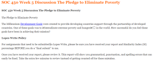 SOC 450 Week 5 Discussion The Pledge to Eliminate Poverty