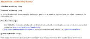 American Democracy Essay