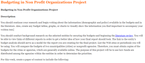 Budgeting in Non Profit Organizations Project