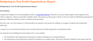 Budgeting in Non Profit Organizations Report