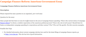 Campaign Finance Reform American Government Essay