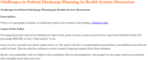 Challenges in Patient Discharge Planning in Health System Discussion