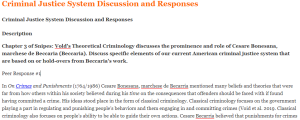 Criminal Justice System Discussion and Responses