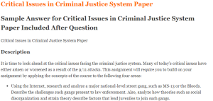Critical Issues in Criminal Justice System Paper