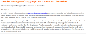 Effective Strategies of Steppingstone Foundation Discussion