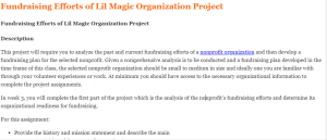 Fundraising Efforts of Lil Magic Organization Project