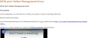 HCM 4007 Online Management Essay