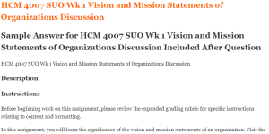HCM 4007 SUO Wk 1 Vision and Mission Statements of Organizations Discussion