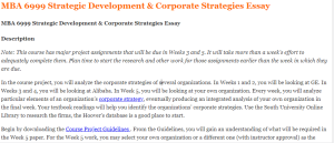 MBA 6999 Strategic Development & Corporate Strategies Essay