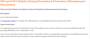 NSG 4076 SUO Holistic Nursing Prevention & Promotion of Homelessness Presentation