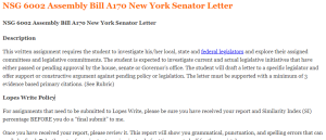 NSG 6002 Assembly Bill A170 New York Senator Letter