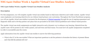 NSG 6420 Online Week 2 Aquifer Virtual Case Studies Analysis