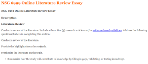 NSG 6999 Online Literature Review Essay