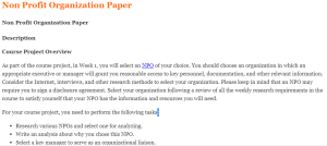 Non Profit Organization Paper