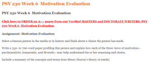 PSY 230 Week 6  Motivation Evaluation