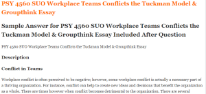 PSY 4560 SUO Workplace Teams Conflicts the Tuckman Model & Groupthink Essay