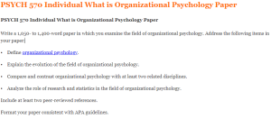 PSYCH 570 Individual What is Organizational Psychology Paper
