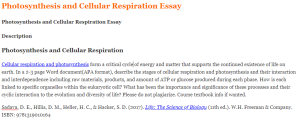 Photosynthesis and Cellular Respiration Essay
