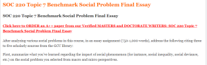 SOC 220 Topic 7 Benchmark Social Problem Final Essay
