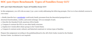 SOC-320-O500 Benchmark- Types of Families Essay GCU