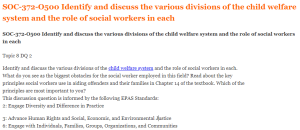 SOC-372-O500 Identify and discuss the various divisions of the child welfare system and the role of social workers in each
