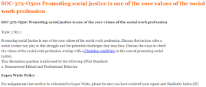 SOC-372-O500 Promoting social justice is one of the core values of the social work profession