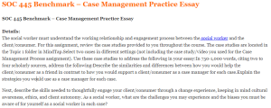SOC 445 Benchmark – Case Management Practice Essay