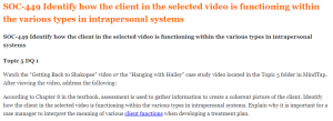 SOC-449 Identify how the client in the selected video is functioning within the various types in intrapersonal systems