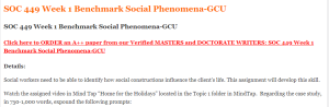 SOC 449 Week 1 Benchmark Social Phenomena-GCU