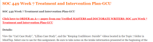 SOC 449 Week 7 Treatment and Intervention Plan-GCU