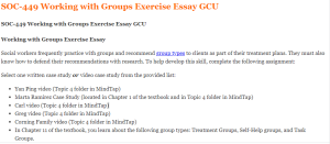 SOC-449 Working with Groups Exercise Essay GCU