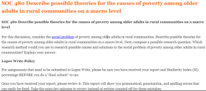 SOC 480 Describe possible theories for the causes of poverty among older adults in rural communities on a macro level