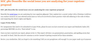 SOC 480 Describe the social issue you are analyzing for your capstone proposal