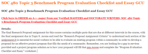 SOC 480 Topic 3 Benchmark Program Evaluation Checklist and Essay GCU