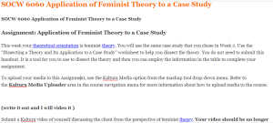 SOCW 6060 Application of Feminist Theory to a Case Study