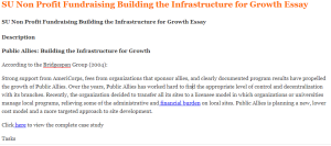 SU Non Profit Fundraising Building the Infrastructure for Growth Essay