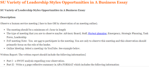 SU Variety of Leadership Styles Opportunities in A Business Essay