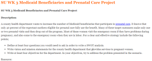 SU WK 3 Medicaid Beneficiaries and Prenatal Care Project