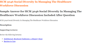 HCM 3046 Social Diversity In Managing The Healthcare Workforce Discussion