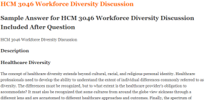 HCM 3046 Workforce Diversity Discussion