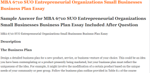 MBA 6710 SUO Entrepreneurial Organizations Small Businesses Business Plan Essay
