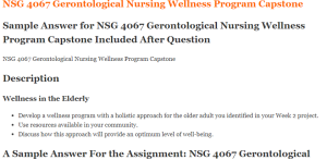 NSG 4067 Gerontological Nursing Wellness Program Capstone