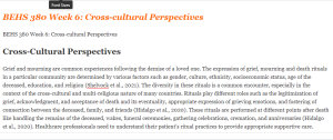 BEHS 380 Week 6 Cross-cultural Perspectives