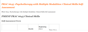 PRAC 6645 -Psychotherapy with Multiple Modalities Clinical Skills Self-Assessment