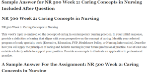 NR 500 Week 2: Caring Concepts in Nursing