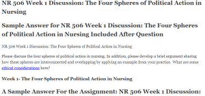 NR 506 Week 1 Discussion The Four Spheres of Political Action in Nursing