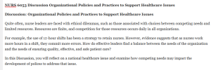 NURS 6053 Discussion Organizational Policies and Practices to Support Healthcare Issues