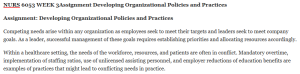 NURS 6053 WEEK 3Assignment Developing Organizational Policies and Practices