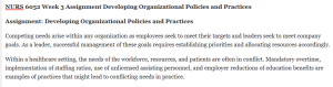 NURS 6052 Week 3 Assignment Developing Organizational Policies and Practices