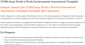 NURS 6052 Week 9 Work Environment Assessment Template